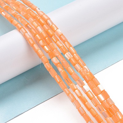 Natural Trochus Shell Beads Strands SSHEL-H070-01F-1