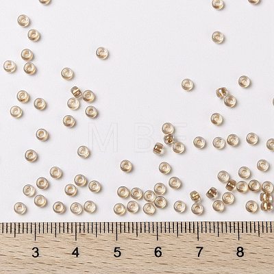 MIYUKI Round Rocailles Beads X-SEED-G008-RR1133-1