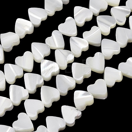 Natural Trochid Shell/Trochus Shell Beads Strands SH-CBA2978-10-1