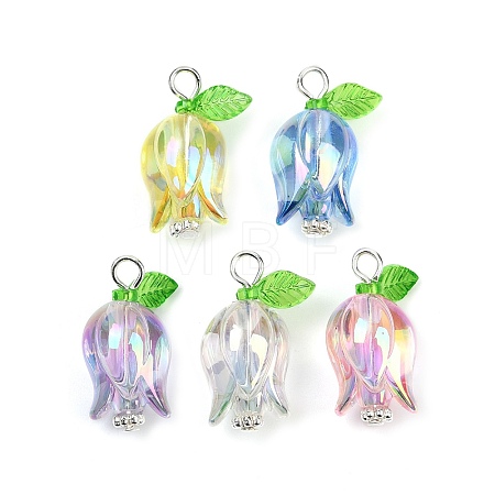 Acrylic Pendants PALLOY-JF03534-02-1