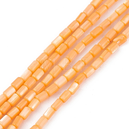 Natural Freshwater Shell Dyed Beads Strands SHEL-M018-12-07-1