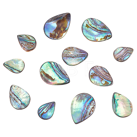 12Pcs 3 Styles Natural Abalone Shell/Paua Shell Beads SHEL-HY0001-02-1