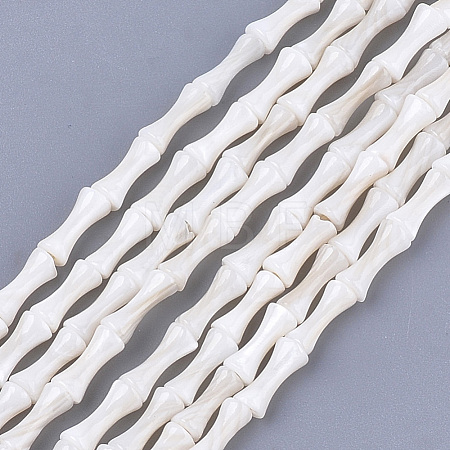 Freshwater Shell Beads Strands X-SHEL-T012-48-1