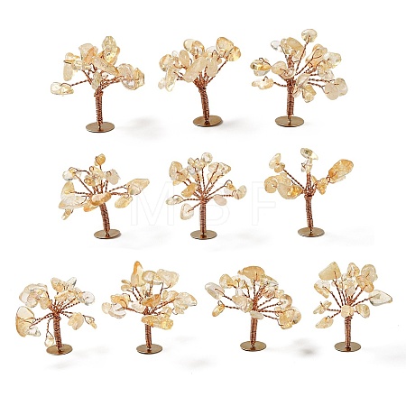 Natural Citrine Chips Display Decorations G-Z016-13B-1