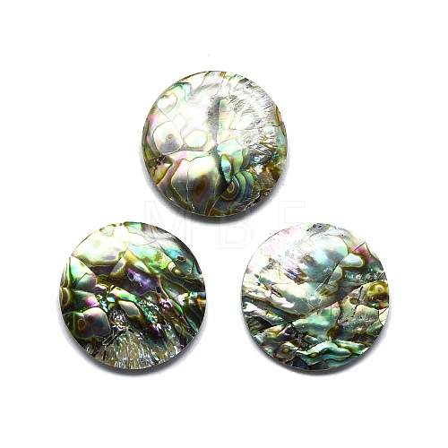 Natural Abalone Shell/Paua Shell Cabochons SHEL-K008-08-1