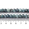 Natural Sesame Jasper Beads Strands G-K380-A18-01-5