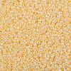 TOHO Round Seed Beads X-SEED-TR08-0903-2