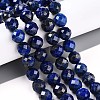 Natural Lapis Lazuli Beads Strands G-S345-10mm-24-2