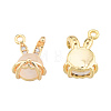 Brass Micro Pave Clear Cubic Zirconia Charms KK-N231-389-1