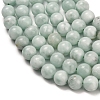Glass Beads Strands G-L642-B18-12mm-4