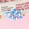 Handmade Lampwork Beads X-PW-WG75748-01-1