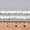 Natural Trochid Shell/Trochus Shell Beads Strands SSHEL-N041-04B-01-4