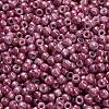 TOHO 6/0 Round Beads X-SEED-TR06-1202-4