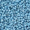 Opaque Glass Seed Beads SEED-S023-01C-03-2