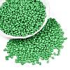 Baking Paint Glass Seed Beads SEED-T006-03F-3