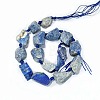 Natural Lapis Lazuli Beads Strands G-G697-E09-01-2