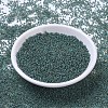 MIYUKI Round Rocailles Beads SEED-JP0008-RR4506-2