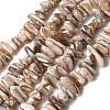 Natural Freshwater Shell Beads Strands X-SHEL-A006-05-1