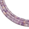 Natural Lepidolite/Purple Mica Stone Beads Strands G-H230-80-4