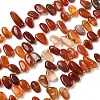 Natural Red Agate Beads Strands G-P604-A14-01-2