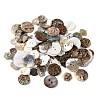Natural Shell Buttons BUTT-XCP0001-16-1