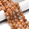 Natural Red Aventurine Beads Strands G-G146-A02-02-2