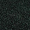 MIYUKI Round Rocailles Beads SEED-G008-RR0156-2