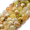 Faceted Natural Fire Crackle Agate Beads Strands G-F447-12mm-H01-1