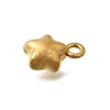 304 Stainless Steel Charms X-STAS-D310-06G-05-2