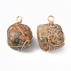 Natural Leopard Skin Jasper Pendants G-N332-50-02-2