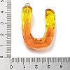 Resin Pendant FIND-Q107-01U-01-3