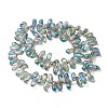 Electroplate Glass Beads Strands EGLA-B006-01A-FR06-2