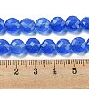 Natural Blue Agate Beads Strands G-NH0015-A01-01-5