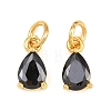 Brass Pave Cubic Zirconia Charms KK-K340-51G-04-1