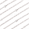 10Pcs 667 Stainless Steel Paperclip Chain Necklaces NJEW-BBC0001-48B-P-1