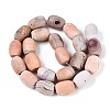 Dyed Natural Agate Beads Strands G-T144-29-2