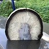 Natural Agate Geode Decorative Bookends AJEW-H157-03-1
