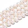 Natural Cultured Freshwater Pearl Beads Strands PEAR-L001-C-08-01-2