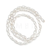 Electroplated Shell Pearl Beads Strands BSHE-Z009-10A-3