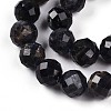 Natural Cordierite/Iolite/Dichroite Beads Strands G-S345-10mm-27-4