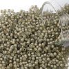 TOHO Round Seed Beads SEED-JPTR11-0369FM-1