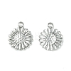 Non-Tarnish 304 Stainless Steel Charms LS-STAS-L269-062P-1