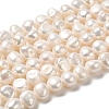 Natural Cultured Freshwater Pearl Beads Strands PEAR-E017-23-1