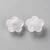 Transparent Acrylic Beads LS-TACR-S152-09C-06-2