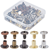 100Pairs 5 Colors Alloy Rivet Screw FIND-GF0009-53-1