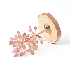 Natural Strawberry Quartz Chips with Brass Wrapped Wire Money Tree on Wood Base Display Decorations DJEW-B007-05E-2