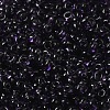 Transparent Colours Glass Seed Beads X1-SEED-P006-02A-12-3