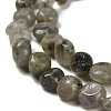 Natural Labradorite Beads Strands G-P497-01E-47-4
