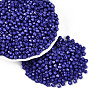 Baking Paint Pearlized Glass Seed Beads SEED-T007-21A-17-3