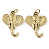Ion Plating(IP) 304 Stainless Steel Pendants STAS-B075-24G-1